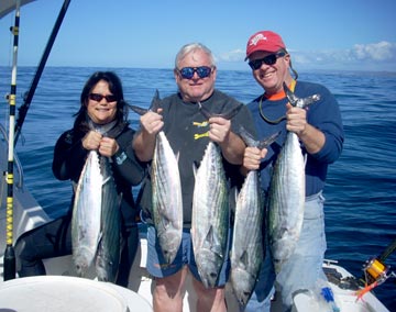 Bonito catch at Ensenada.