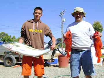 Panga fishing catch at Ensenada.