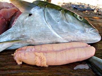 Yellowtail egg sacks.