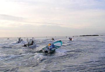 Fishing tournament at San Carlos 2.