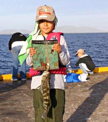 Fishing tournament at San Carlos 5.