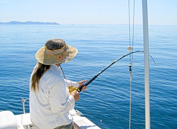 Yellowtail fishing at La Paz.