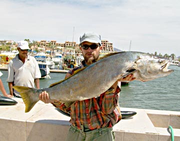 White seabass caught at San Carlos, Sonora.