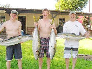 Yellowtail caught at Bajo San Bruno