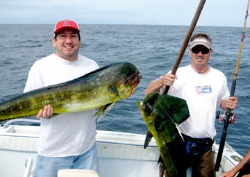 Dorado caught at East Cape 1