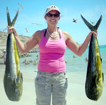 Dorado caught at La Paz