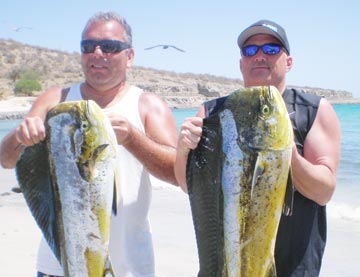 Dorado caught at La Paz 2