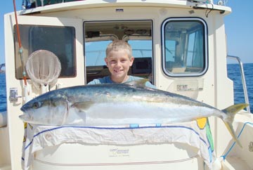 Yellowtail caught at Isla Tortuga