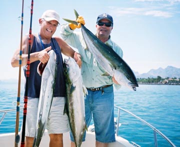 Yellowtail caught at Isla Carmen, Loreto, Mexico