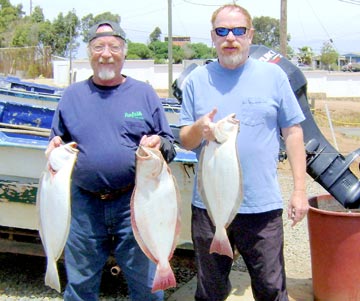 Halibut caught inside the bay at Ensenada