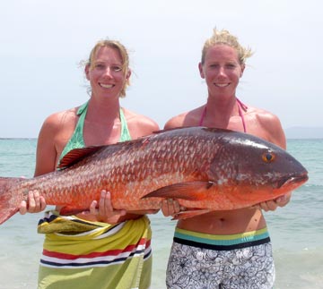 Mullet snapper caught at La Paz