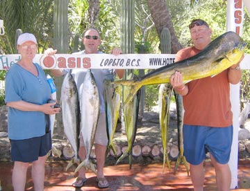 Dorado and yellowtail caught at Loreto, Mexico