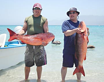 Two pargo lisa caught at La Paz, Mexico