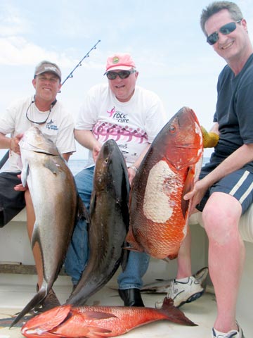 Amberjack and dog snapper at Puerto Vallarta