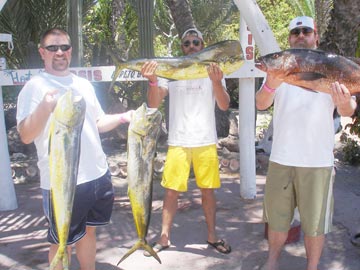 Dorado caught at Loreto