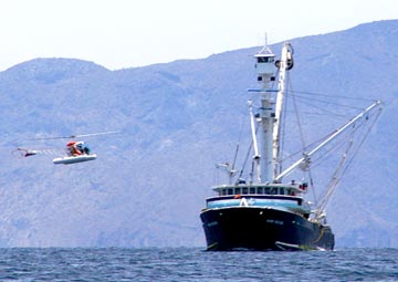 Purse seiner north of Loreto 1