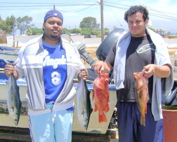 Panga fishing catch at Ensenada