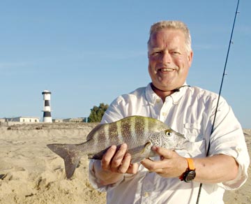 East cape graybar grunt