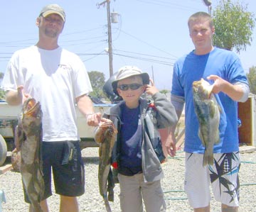 Bottom fish caught at Punta Banda