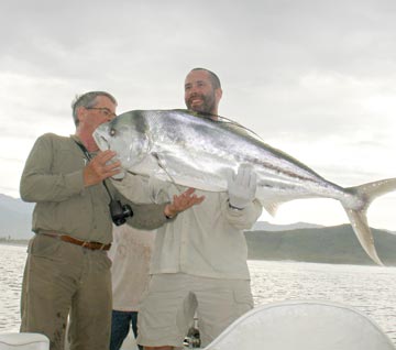 Roosterfish release near Ixtapa, Mexico