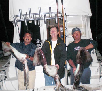 Ensenada Humboldt giant squid fishing 2