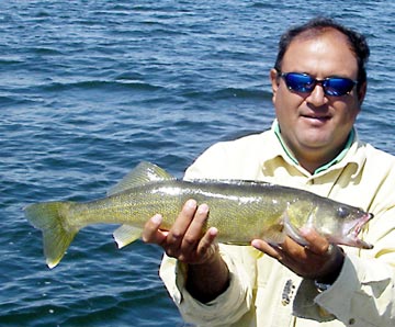 Mystery fish caught by Zihuatanejo's Capt. Santiago Valdovinos