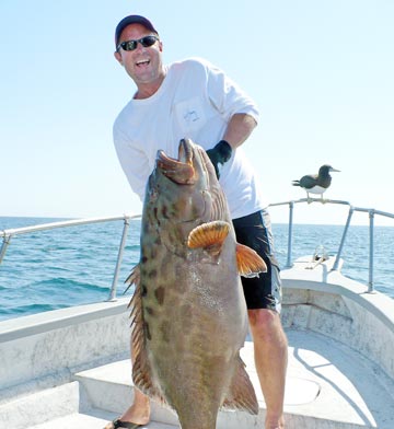 Grouper fishing at Bahia de los Angeles 1