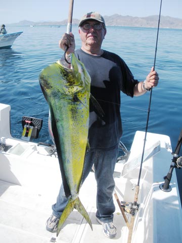 Dorado caught at Loreto