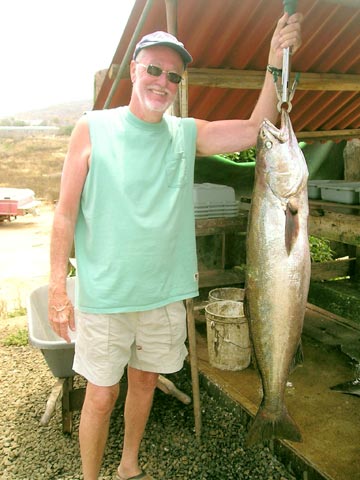 White seabass caught at Ensenada