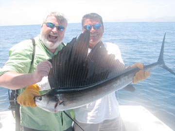 Small sailfish caught at East Cape