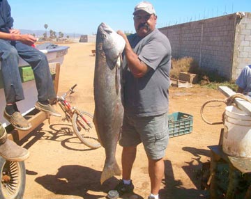 Fishing at Erendira 1