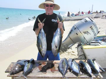 Football tuna caught at La Paz