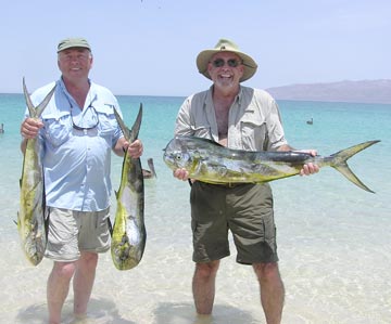 Dorado caught at La Paz