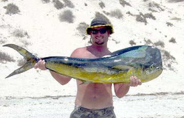 Dorado caught at La Paz