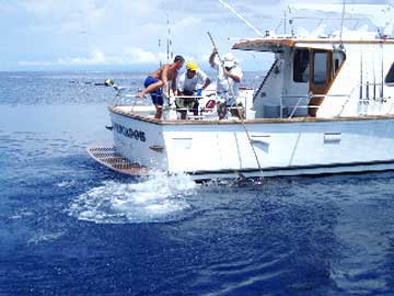 El Pescador Puerto Vallarta Fish Photo 1