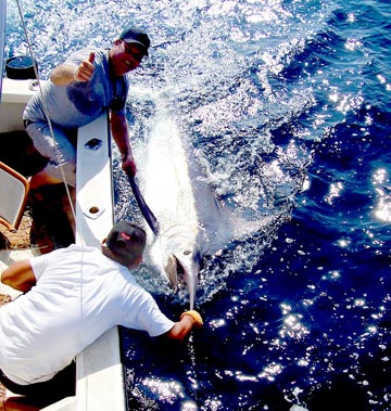 Roca Corbeteña Fishing Photo