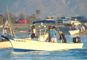 San Jose del Cabo Fishing Photo 3