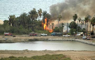 San Jose del Cabo estuary tree fire 1