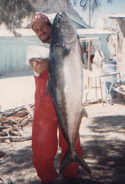 Photo of true 53-pound yellowtail.