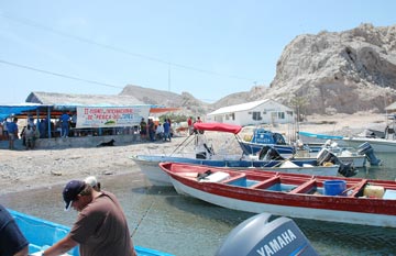 Isla San Marcos Yellowtail ShootOut Fishing Tournament photo 3