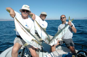 Santa Rosalia yellowtail fishing.